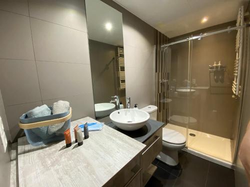 een badkamer met een wastafel, een toilet en een douche bij Suite Anna in Zaragoza