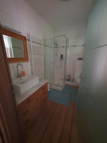 a bathroom with a shower and a sink and a mirror at Wasserweibchen Nixe in Diez