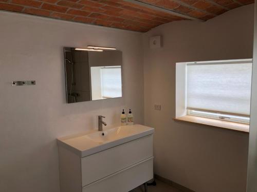 a bathroom with a sink and a mirror and a window at Solbjerg Skov B&B in Solbjerg