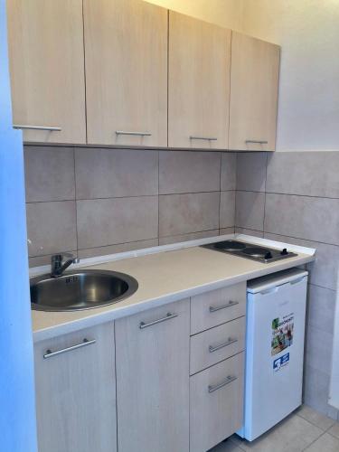 Kuchyň nebo kuchyňský kout v ubytování Apartments Ela