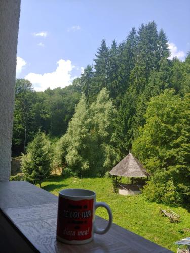 een koffiekopje op een vensterbank met een tuinhuisje bij Casa Elena in Brădetu