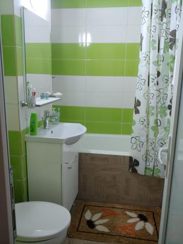 een badkamer met een wastafel, een toilet en een douche bij Casa Elena in Brădetu