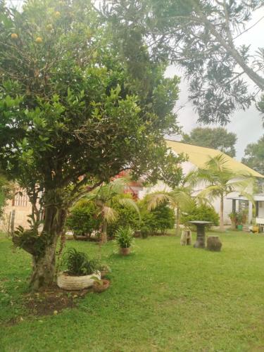 Foto da galeria de Cabaña El Trebol em San Agustín
