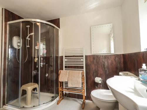 a bathroom with a shower and a toilet and a sink at Wood End in Dalbeattie