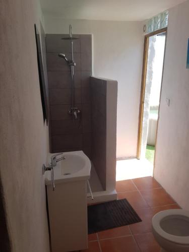 a bathroom with a shower and a sink and a toilet at Amandolas in Casarabonela