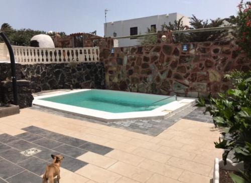 Fotografia z galérie ubytovania Casa Medinilla, piscina privada v destinácii Masdache