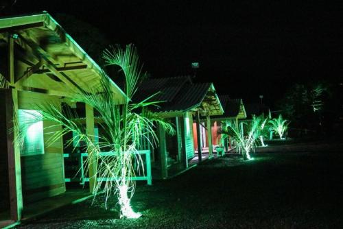 a row of houses with palm trees lit up at night at Império Cabanas in Urubici