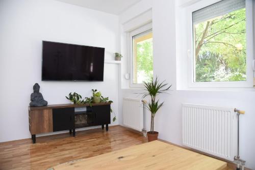 En TV eller et underholdningssystem på Garden Apartment - Oaza u centru grada