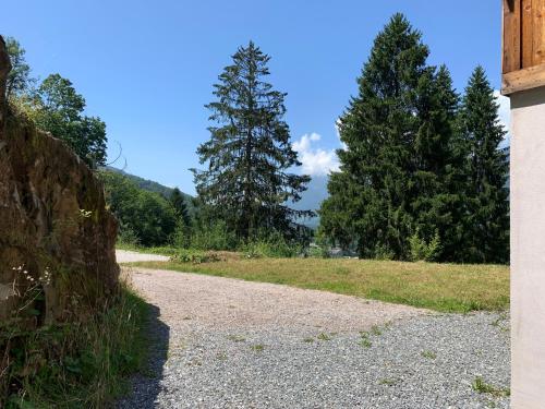 une route de gravier avec deux arbres en arrière-plan dans l'établissement Le Chalet dans les Etoiles, à Samoëns