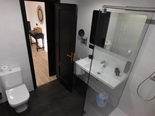 un baño con lavabo e inodoro en HOTEL TERRA GALEGA MEIGA, en Monforte de Lemos