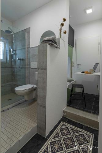a bathroom with a shower and a toilet and a sink at Sali Homes - GaesteHaus Lamm Obersulm in Obersulm
