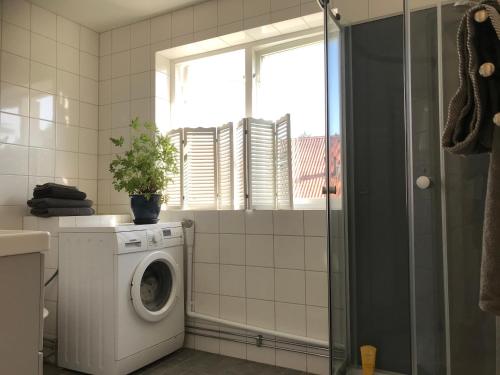 a washing machine in a bathroom with a window at Österlens bä och bädd in Kivik