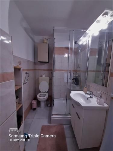 a bathroom with a toilet and a shower and a sink at Debby in Rijeka