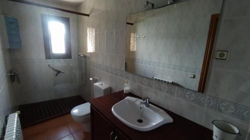 La salle de bains est pourvue d'un lavabo, de toilettes et d'un miroir. dans l'établissement Casa Beta allotjament rural, à Pujal