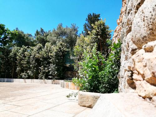 a stone wall with trees in the background at Nicuzza in Martano