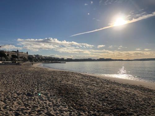 Cannes carré d’or !