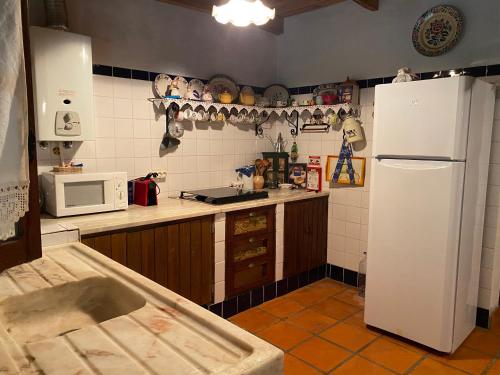 a kitchen with a white refrigerator and a microwave at Quinta do Vale Grande in Albergaria-a-Velha