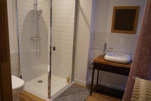 W łazience znajduje się prysznic, toaleta i umywalka. w obiekcie un dimanche chez Julie chambre Célestine w mieście Parthenay