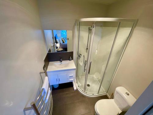 a bathroom with a shower and a sink and a toilet at Villa Queenstown in Queenstown