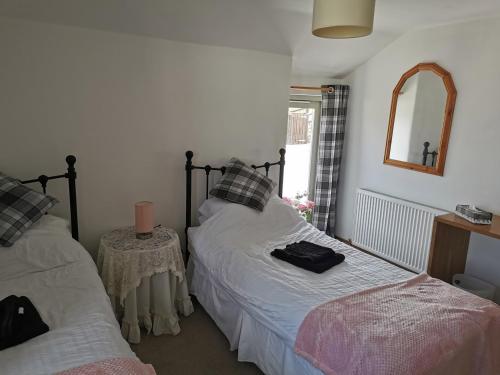 a bedroom with two twin beds and a mirror at Bowbeer Barn in Drewsteignton