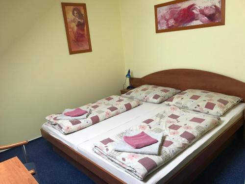 Un pat sau paturi într-o cameră la Ubytovňa Gemini