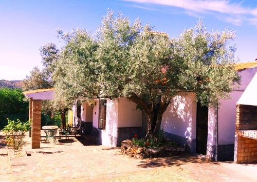 Cortijo "Era Grande 2"