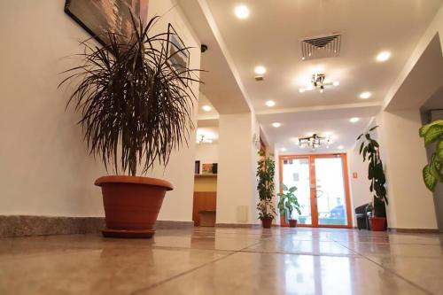 a large potted plant sitting in a hallway at Plus Hotel in Craiova