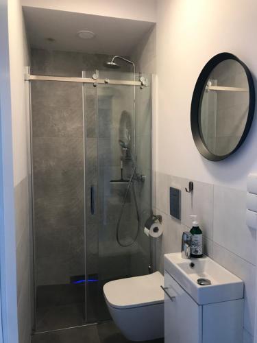 een badkamer met een douche, toilet en wastafel bij Domek Pod Sosnami in Rozewie