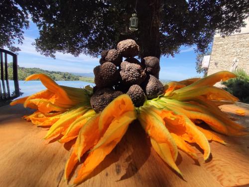 un oso de peluche sentado sobre un girasol en La casa del tartufo, en Torri in Sabina