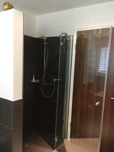 La salle de bains est pourvue d'une douche avec une porte en verre. dans l'établissement Villa Modern, à Ufhusen