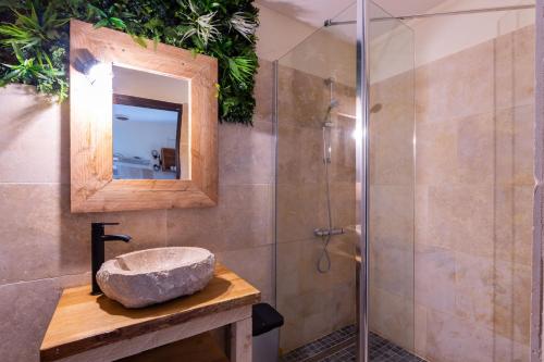 een badkamer met een wastafel en een douche bij Studio élément - Terre in Saint-Aignan