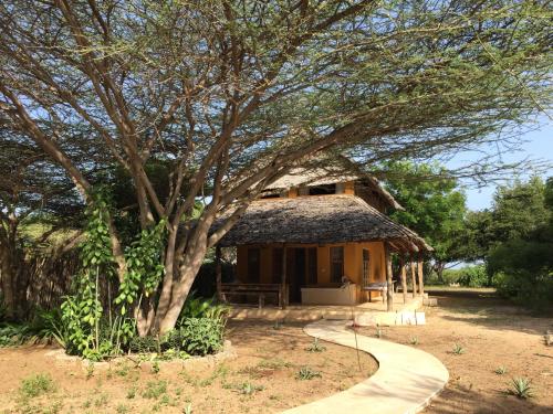 a house with a tree in front of it at Mangrove House in Lamu