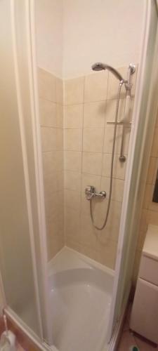 a shower with a glass door in a bathroom at Sidar-Old Town in Cres