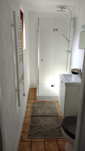 a bathroom with a shower and a toilet and a sink at Chalet in Bad Sachsa