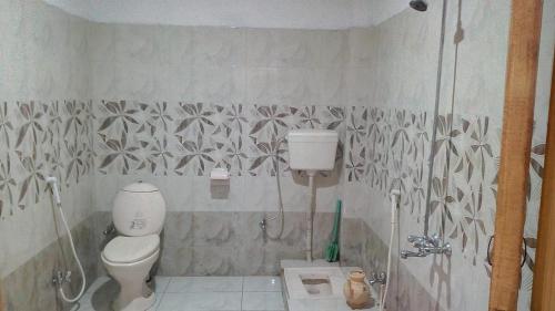 a bathroom with a toilet and a shower stall at Hotel Mi-Amore in Naran
