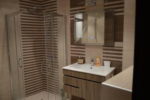 a bathroom with a shower and a sink and a shower at Stefi house in Veliko Tŭrnovo