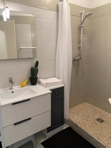une salle de bain avec un lavabo et une douche dans l'établissement Super Appart ! Terrasse, Clim, Parking, 2min Plage., à La Grande Motte