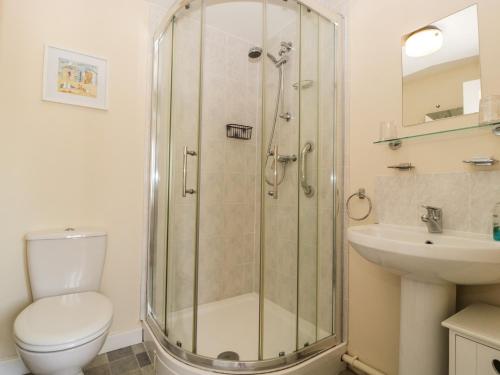 a bathroom with a shower and a toilet and a sink at Glebe Lodge in Westbury-sub-Mendip