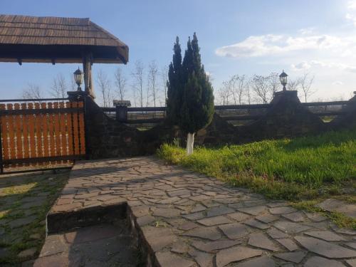 Gallery image of Pensiunea San Pio Sabisa in Săbişa