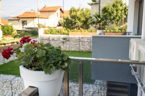 a white planter with red flowers on a balcony at TheHouse - Apartment Kamenitza in Velingrad