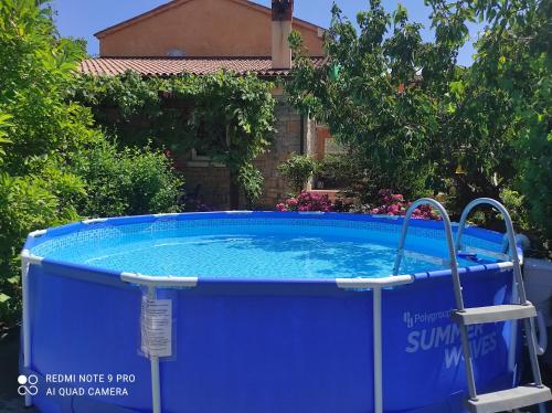 a large plunge pool in front of a house at Apartment Villa Istriana in Koper