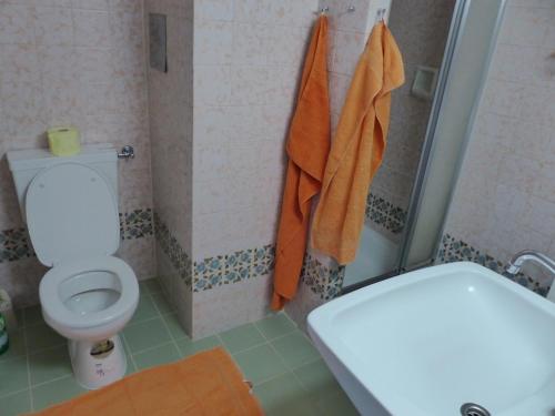 La salle de bains est pourvue d'une douche et de toilettes. dans l'établissement Apartment Danhauser, à Vienne