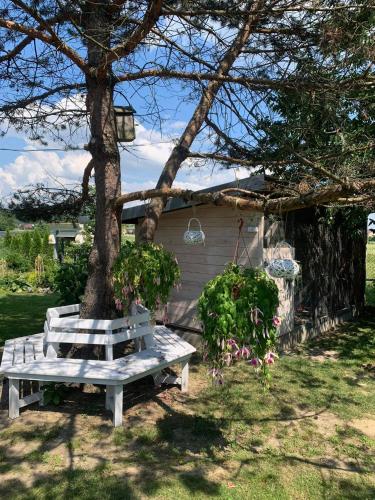 Taman di luar Siedlisko Przyjazne Progi
