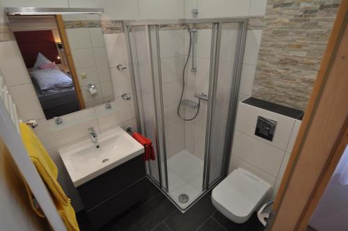a bathroom with a shower and a sink and a toilet at Wohlfühl-Ferienwohnungen König in Bad Elster