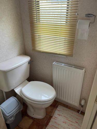 a bathroom with a toilet and a window and a radiator at Tummel 2 in Forfar