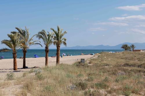 a group of palm trees on a sandy beach at The Originals City, Relax'Otel & Spa, Le Barcarès in Le Barcarès