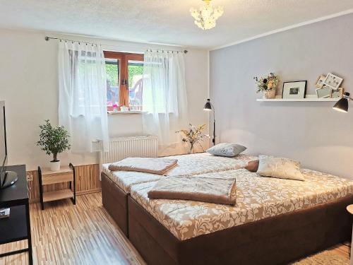 a bedroom with two beds and a window at flex living - Business- und Ferienwohnung Wassermann in Dresden