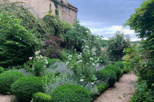 a garden with lots of plants and flowers at Studio sur les remparts Semur-en-Auxois BOURGOGNE in Semur-en-Auxois
