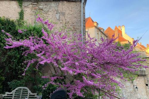 a bush with purple flowers next to a building at Studio sur les remparts Semur-en-Auxois BOURGOGNE in Semur-en-Auxois