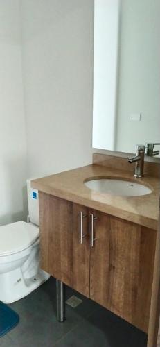 ein Bad mit einem Waschbecken und einem WC in der Unterkunft 1 Apartaestudio Cedritos amplio in Bogotá